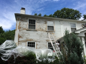 Exterior in Wellesley